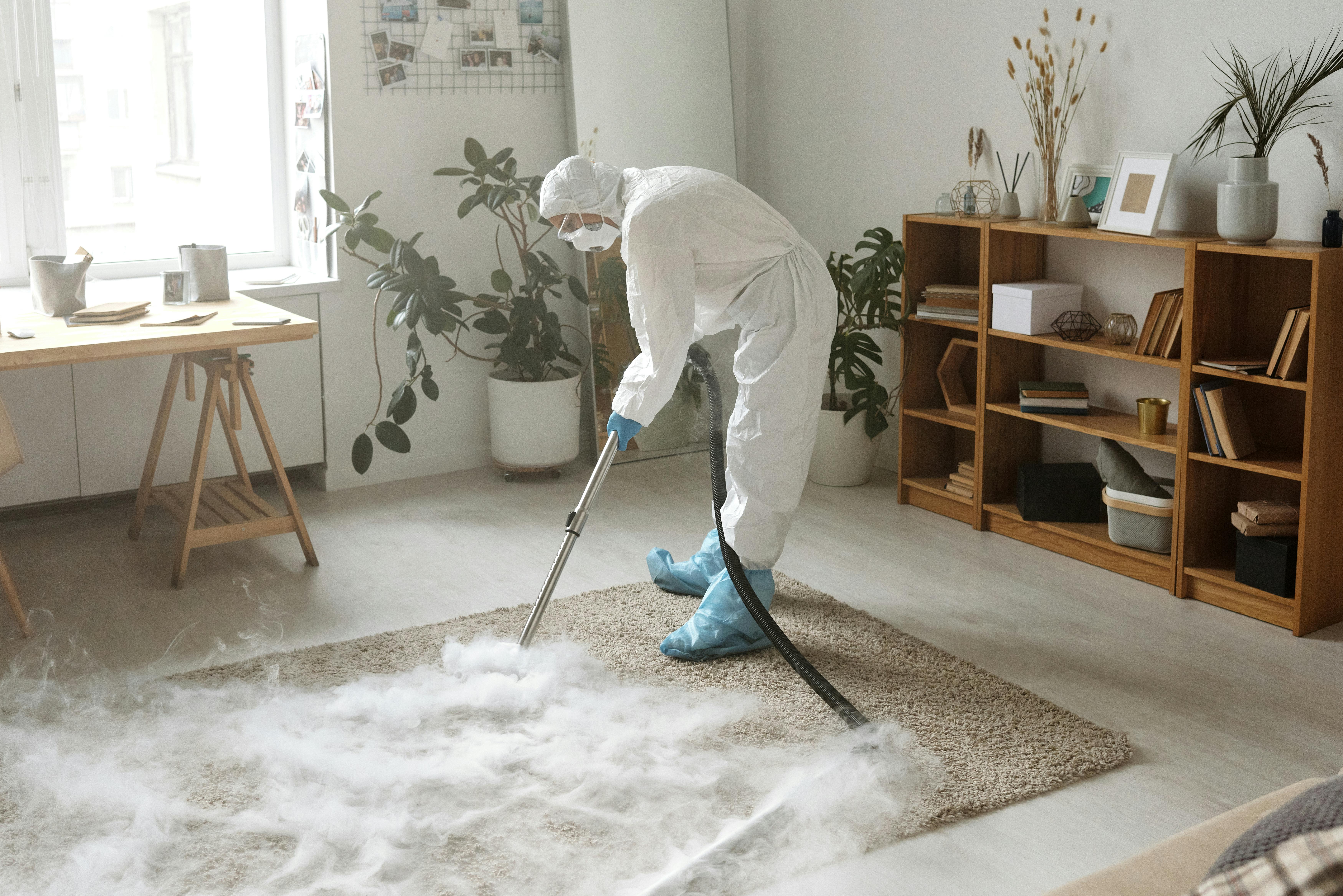 carpet clean