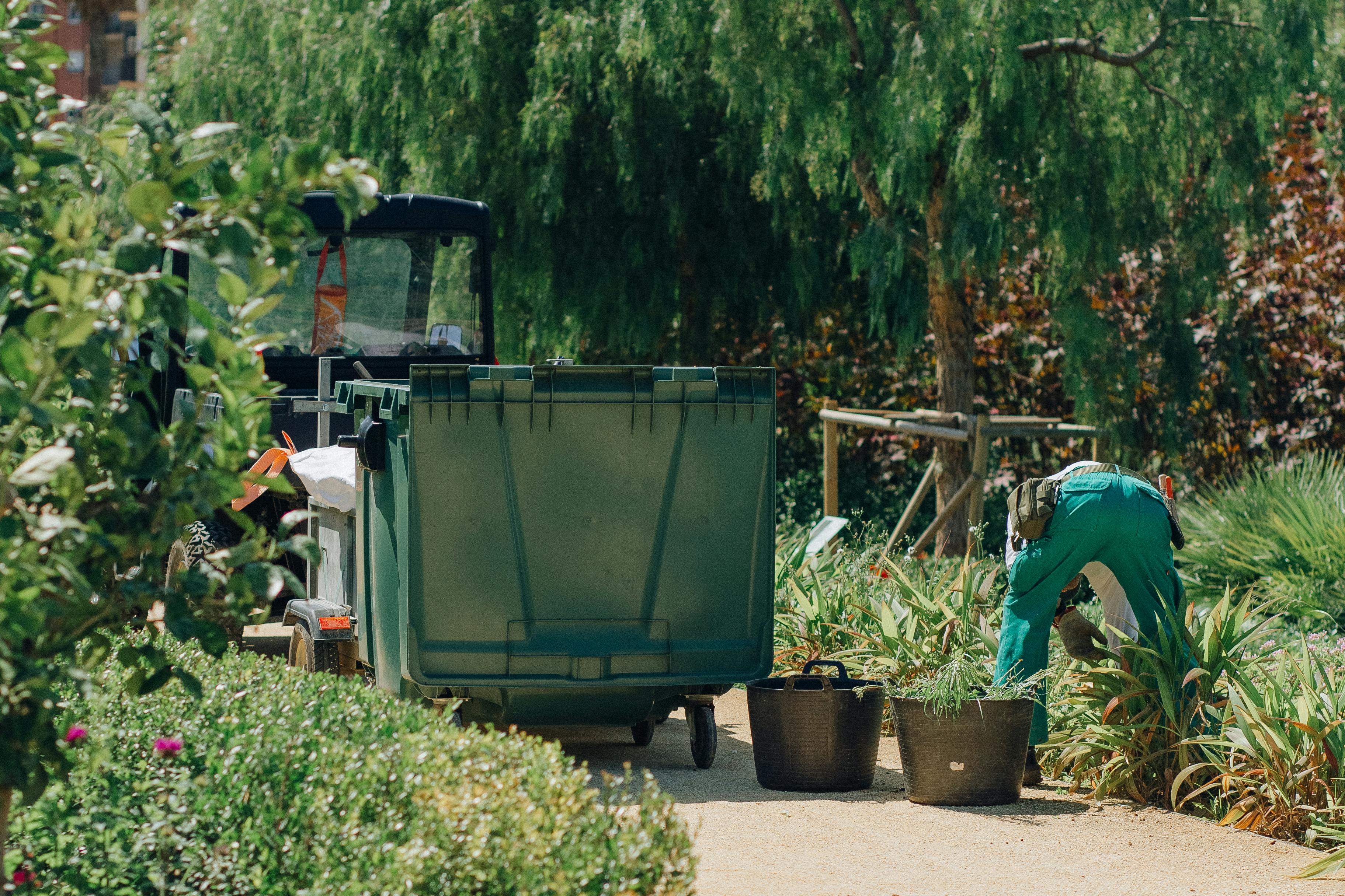 garden clean